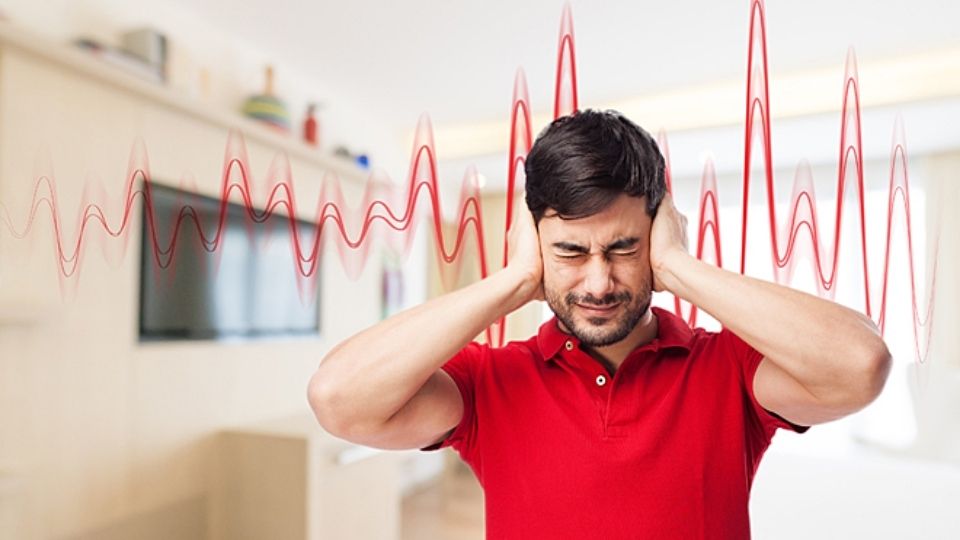 finestre acustiche a milano 3 storie vere di silenzio ritrovato